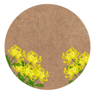 重阳节中国风花卉古风复古菊花