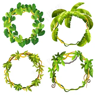 藤本植物枝叶的框架。