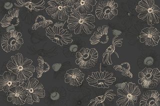 黑板上手绘的花