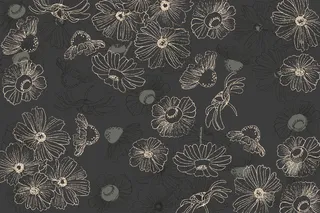 黑板上手绘的花