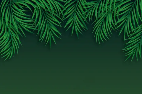 用于缩放的热带树叶背景