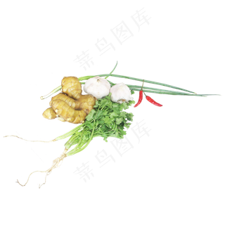 香菜姜大蒜辣椒葱