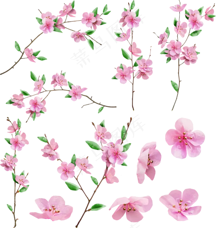 樱花开花植物免扣png