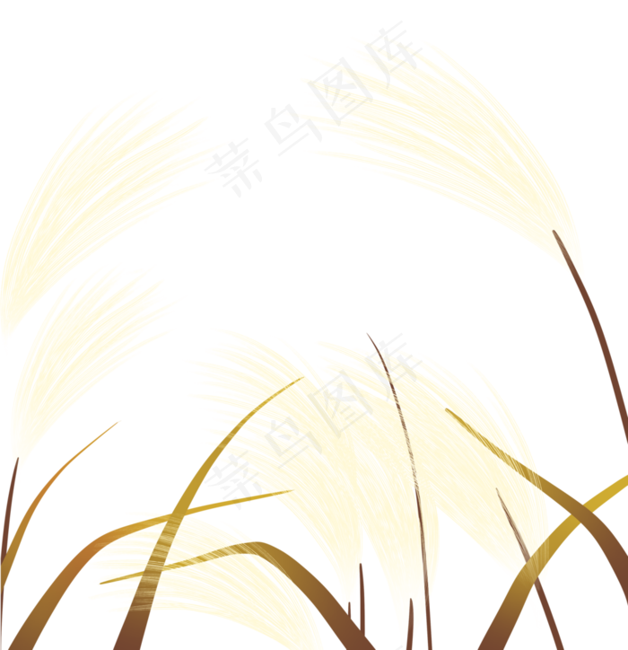 秋分秋季芦苇(3545X3667(DPI:300))psd模版下载