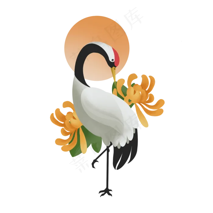 重阳节仙鹤菊花噪点风(2000X2000(DPI:300))psd模版下载