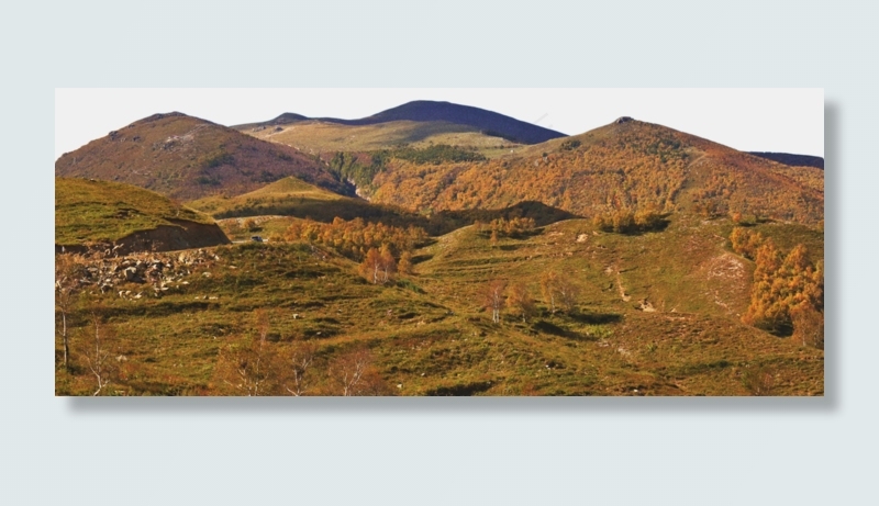 变黄的山坡(2989X1200(DPI:300))psd模版下载
