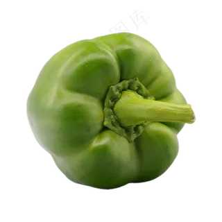 绿色有机蔬菜辣椒 绿色有机蔬菜辣椒