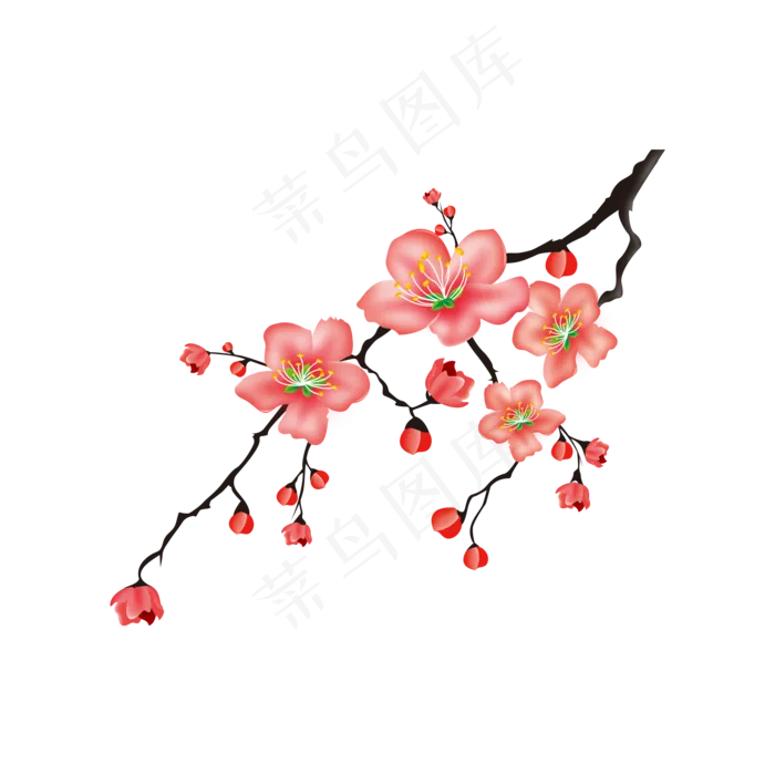 一支冬天的红梅(2000X2000(DPI:300))psd模版下载