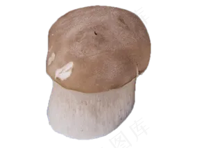 一个清香可口的鲜蘑菇