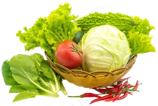 编织筐蔬菜合集