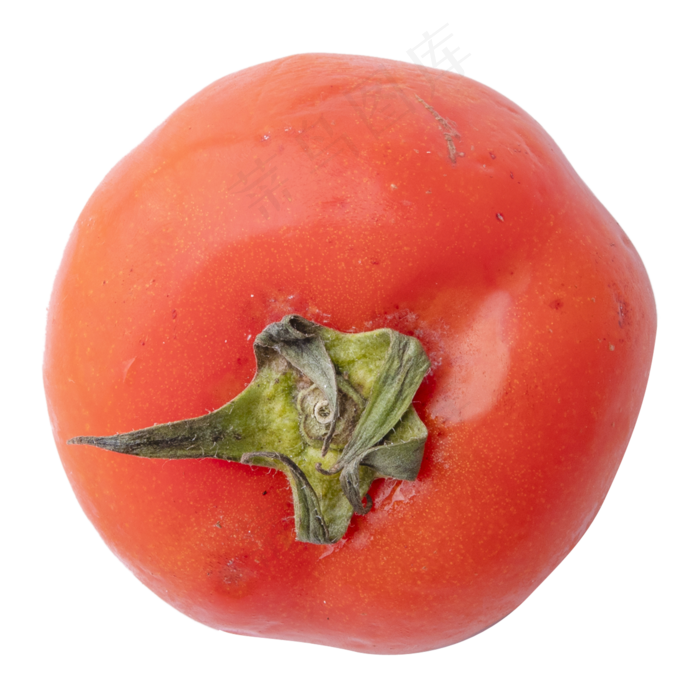 红色躺着的西红柿蔬菜实拍