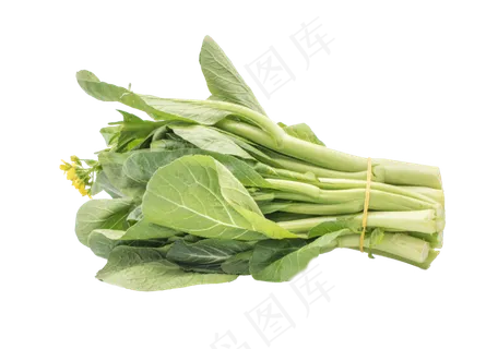 白色蔬菜装饰 白色蔬菜装饰