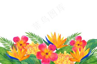 水彩花卉背景概念