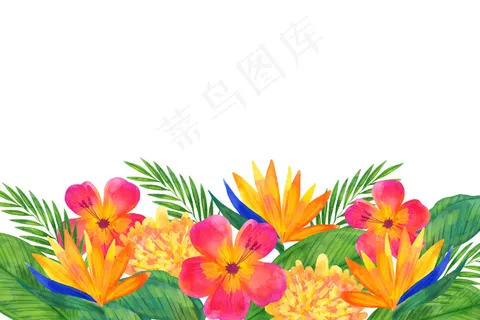 水彩花卉背景概念 水彩花卉背景概念