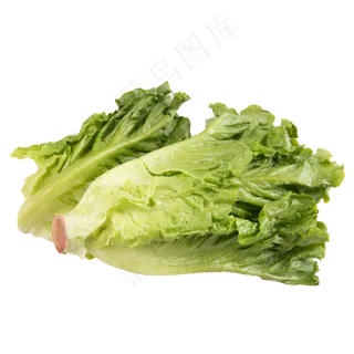 绿色生菜蔬菜健康