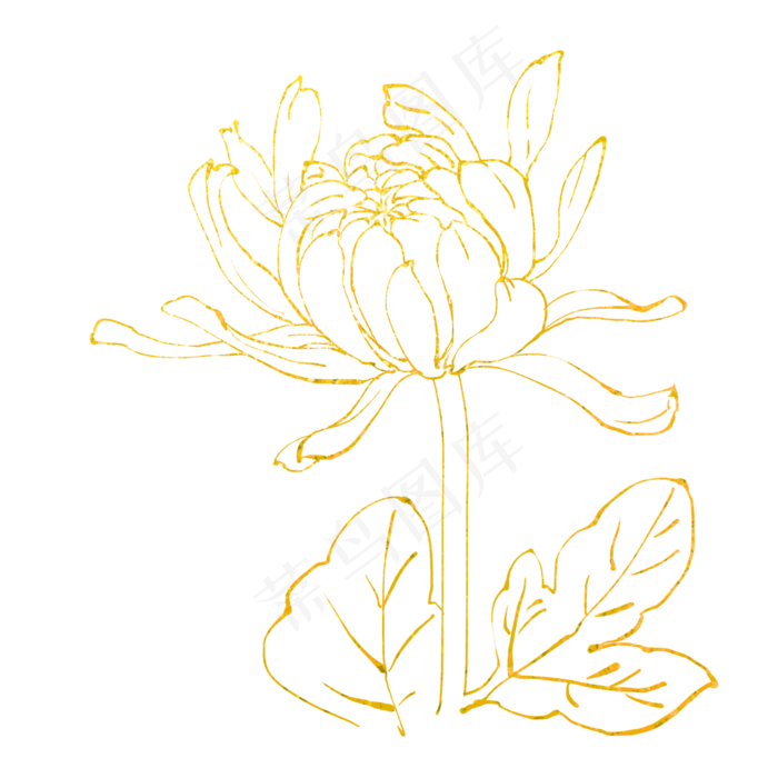 金箔菊花底纹(3000X3000(DPI:72))psd模版下载