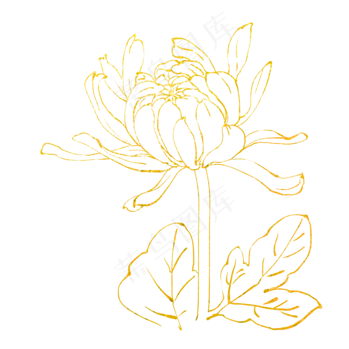 金箔菊花底纹(3000X3000(DPI:72))psd模版下载