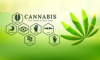 植物大麻叶背景。矢量图解