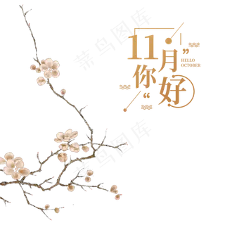 11月你好