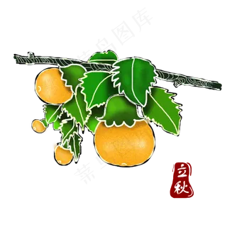 立秋果实丰收满架