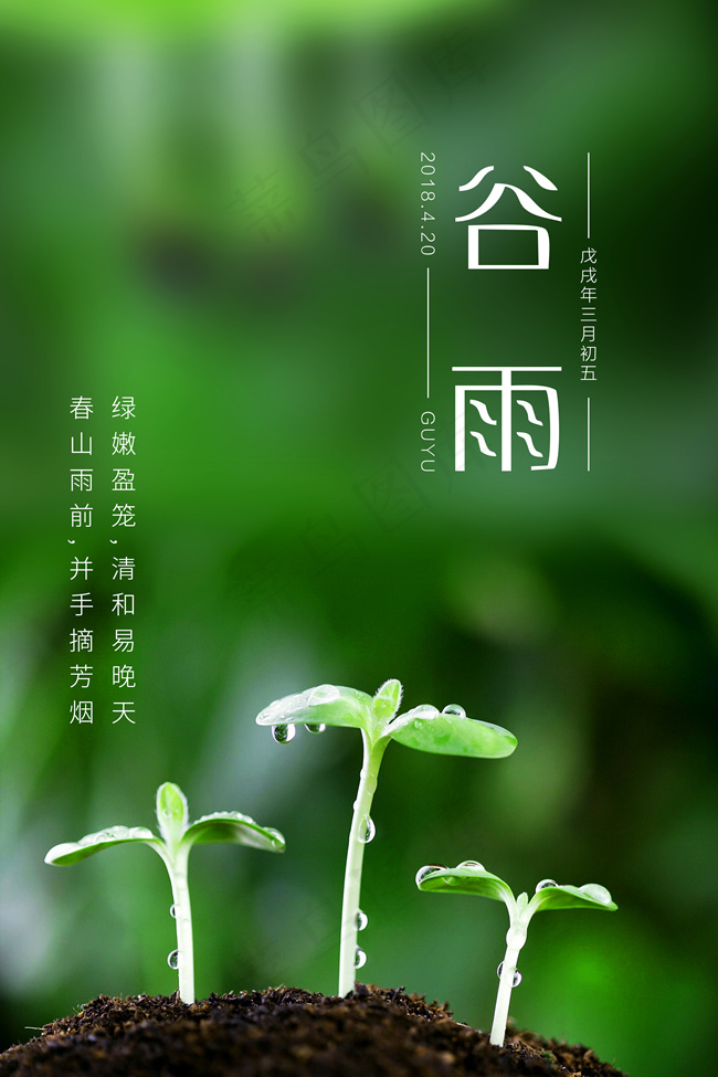 谷雨节日海报psd模版下载