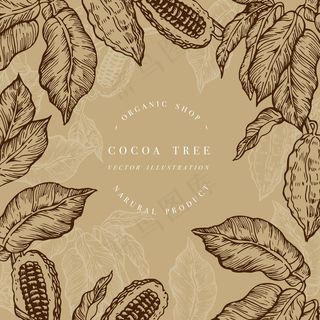 可可豆树模板。雕刻式插图。巧克力可可豆。插图