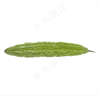 一个苦瓜蔬菜实拍
