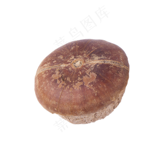 蘑菇（png免抠）