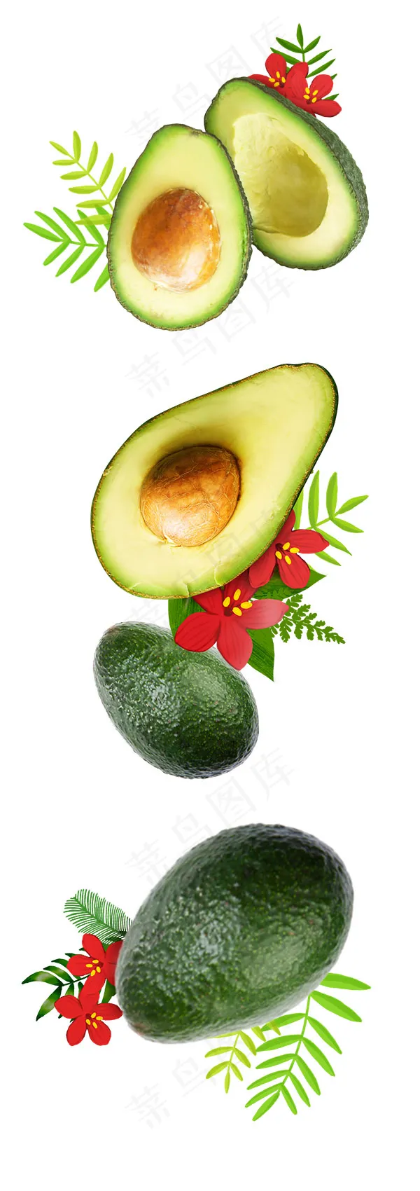 牛油果 水果psd模版下载