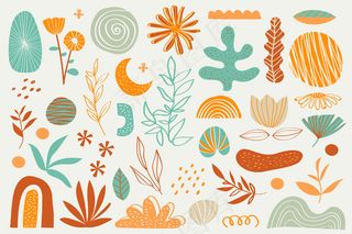 各种花草有机形态背景