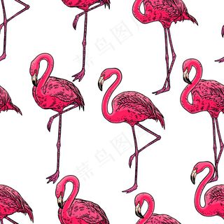 可爱的无缝火烈鸟背景。手绘插图