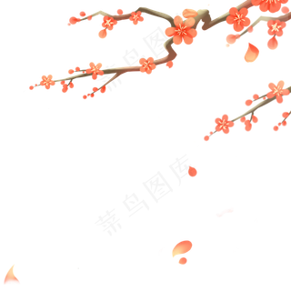 传统红色花朵梅花植物