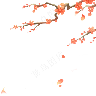 传统红色花朵梅花植物