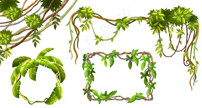 藤本植物的枝叶。eps,ai矢量模版下载