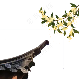 中秋节桂花加屋顶