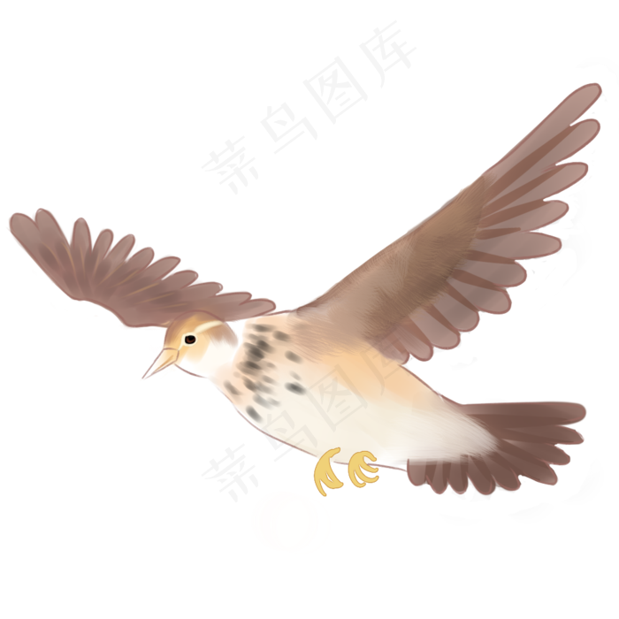 春天小鸟免抠PNG