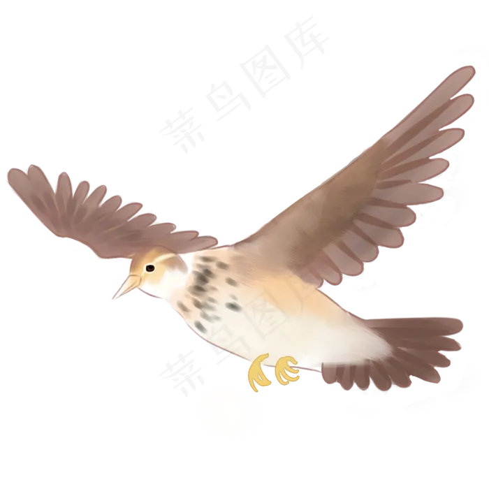 春天小鸟免抠PNG(1024X1024(DPI:300))psd模版下载