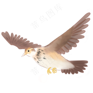 春天小鸟免抠PNG