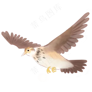 春天小鸟免抠PNG