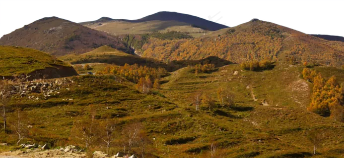 深秋的景色 深秋的景色