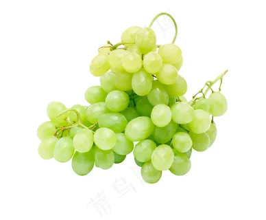 提子 葡萄 水果