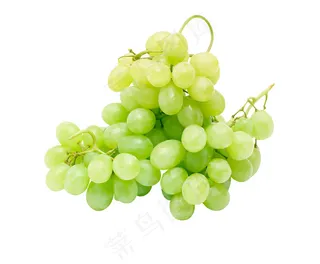 提子 葡萄 水果