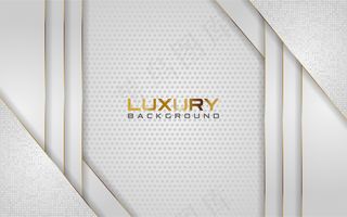 豪华浅银色背景，金色线条