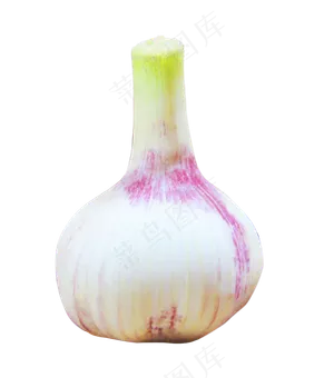 蒜苗大蒜食材