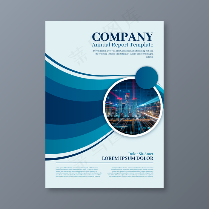 带照片的摘要年报模板