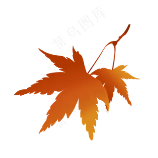 秋景秋色枫叶开通图