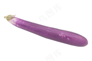 紫色蔬菜长茄子