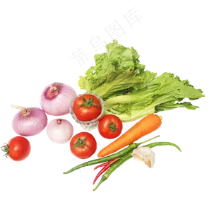 生菜芥菜洋葱胡萝卜辣椒大蒜
