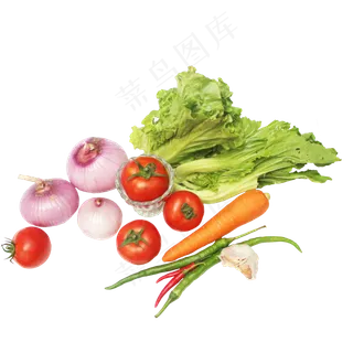 生菜芥菜洋葱胡萝卜辣椒大蒜 生菜芥菜洋葱胡萝卜辣椒大蒜