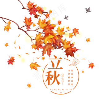 二十四节气立秋